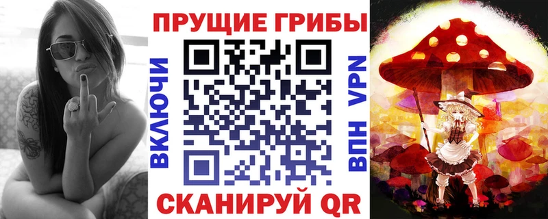 Купить  Слободской  Галлюциногенные грибы GOLDEN TEACHER 